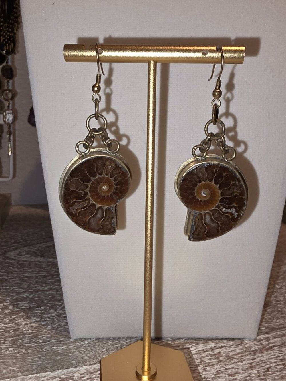 Fossil Earrings